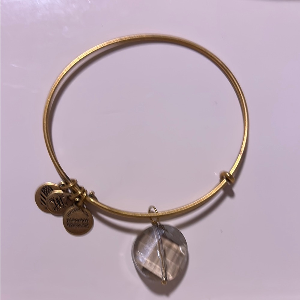 Alex and Ani Gold Bracelet with Gem Charm